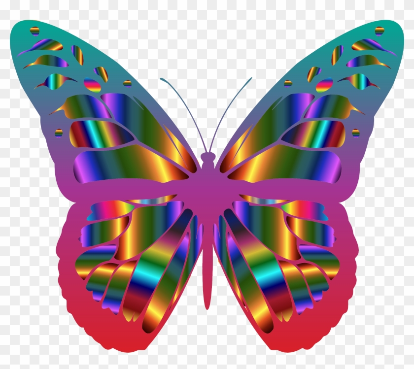 Big Image - Beautiful Butterfly Clip Art #1739172