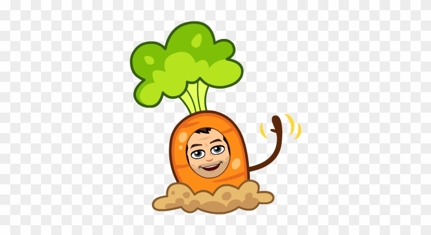 Dublin Busverified Account - Carrot Bitmoji #1739188