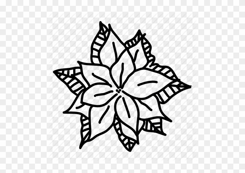 Christmas Flower Holiday Noel - Poinsettia Drawing Png #1739299