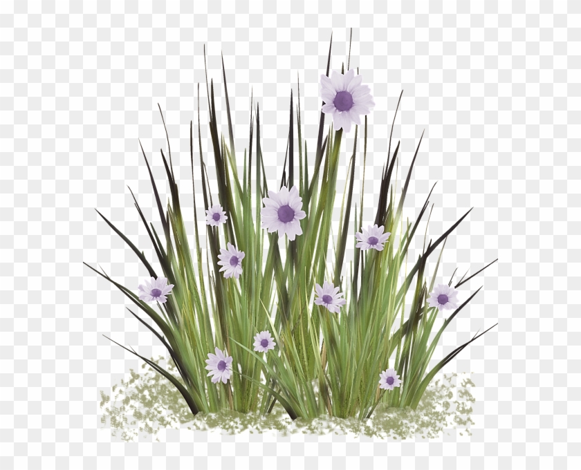 Clip Art, Florals, Illustrations - Crocus #1739396