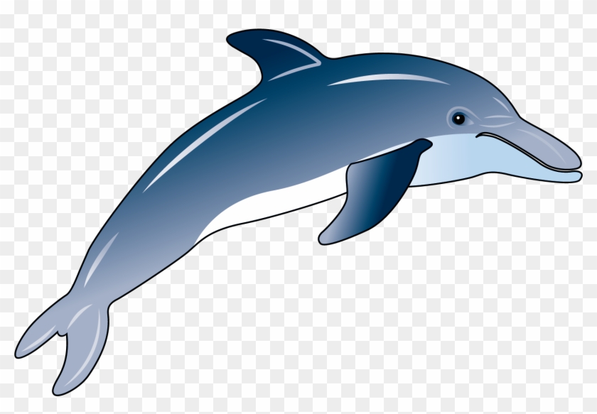 Common Bottlenose Dolphin #1739415