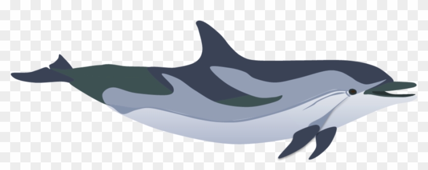 Striped Dolphin Cartoon #1739436