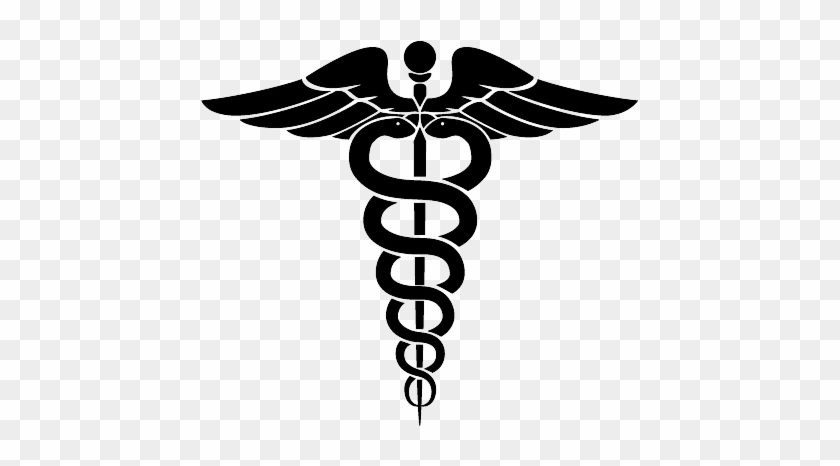Sinai Transportation Specializes In All Kinds Of Medical - Sinai Transportation Specializes In All Kinds Of Medical #1740034