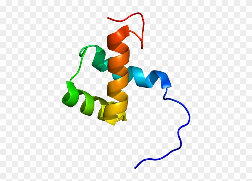 Turning On The Cellular Regulator Zeb-1 In Dormant - Zeb1 Protein #1740045