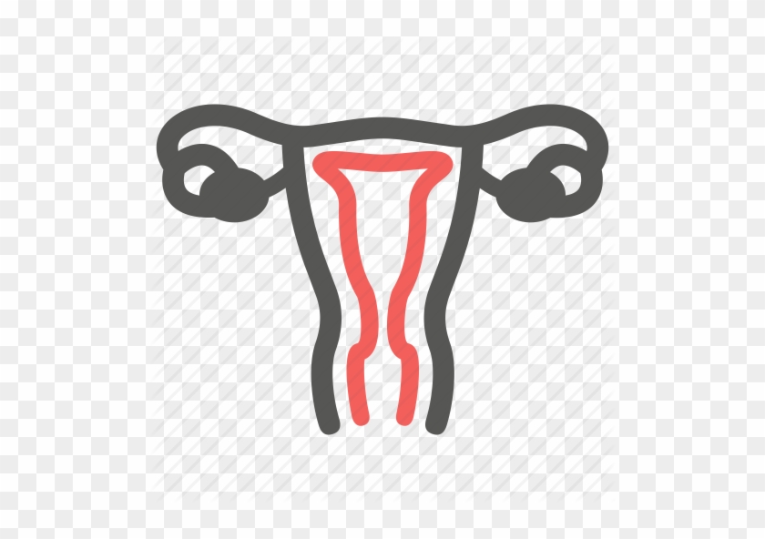 Jpg Library Library Care Glyph By Minh Do Genital Gynecology - Genital Icon #1740468