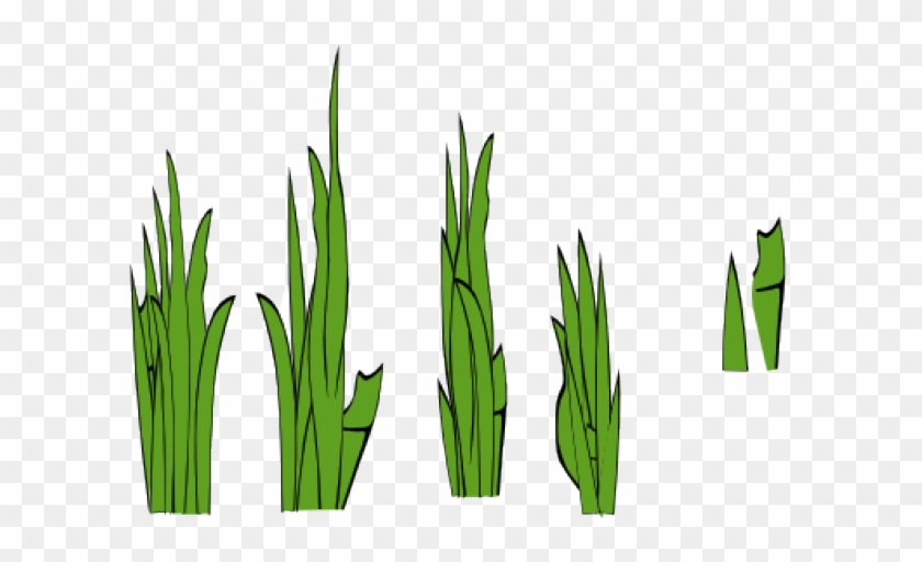 Sea Grass Clipart Jungle Grass - Grass Clip Art #1740933