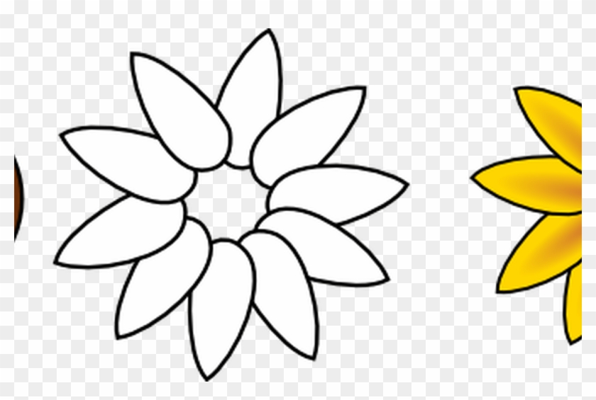 Sunflower Petals Clipart Outline Clipground Easy To Draw Sunflowers Free Transparent Png Clipart Images Download