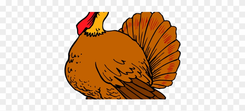 Turkey Clipart Basic - Happy Thanksgiving Pictures Basketball #1741035