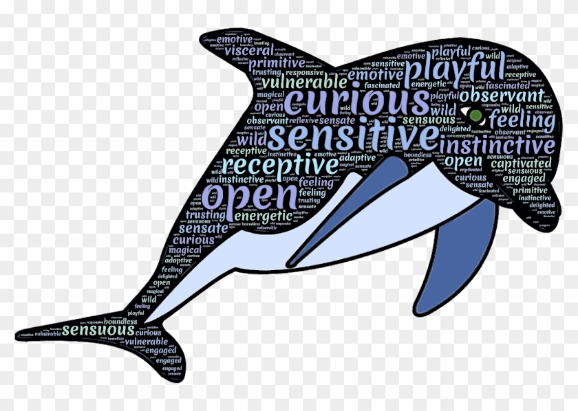 Dolphines Clipart Dolphin Word - Dolphin Typography #1741171