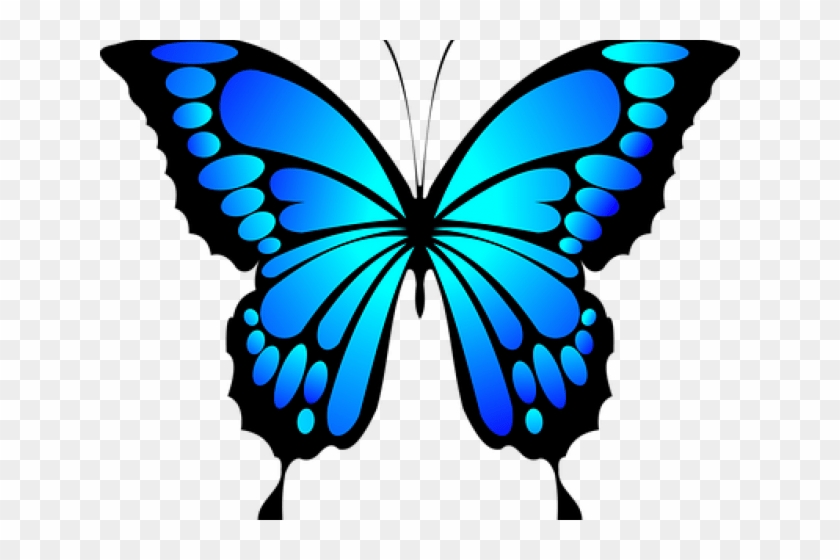 Blue Morpho Butterfly Clipart #1741724