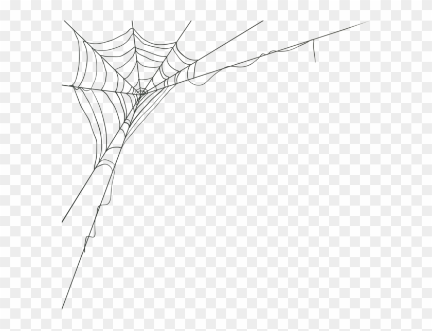 0, - Cartoon Spider Web Png #1741823