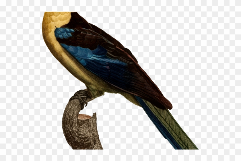 Kiss Clipart Affection - Vaux S Swift #1742279