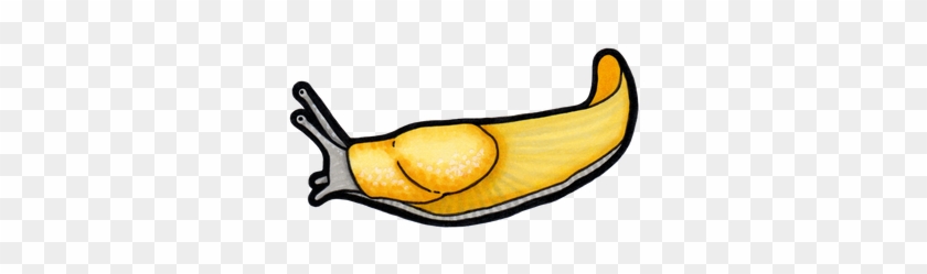 California Banana Slug By Hyaenija On Deviantart - California Banana Slug By Hyaenija On Deviantart #1742495