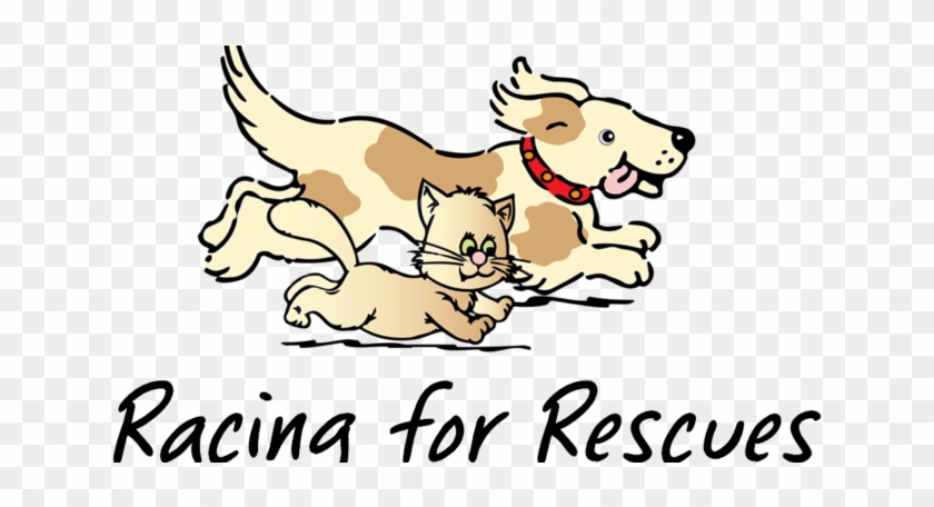 “racing For Rescues” Registration Is Now Open - Dog Walking #1742521