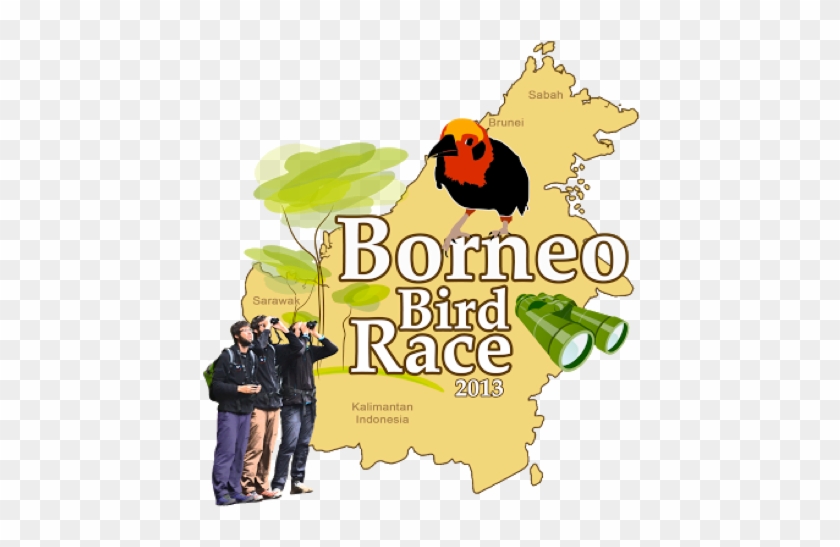 Borneo's Most Happening Event Of The Year - Bird Race #1742629