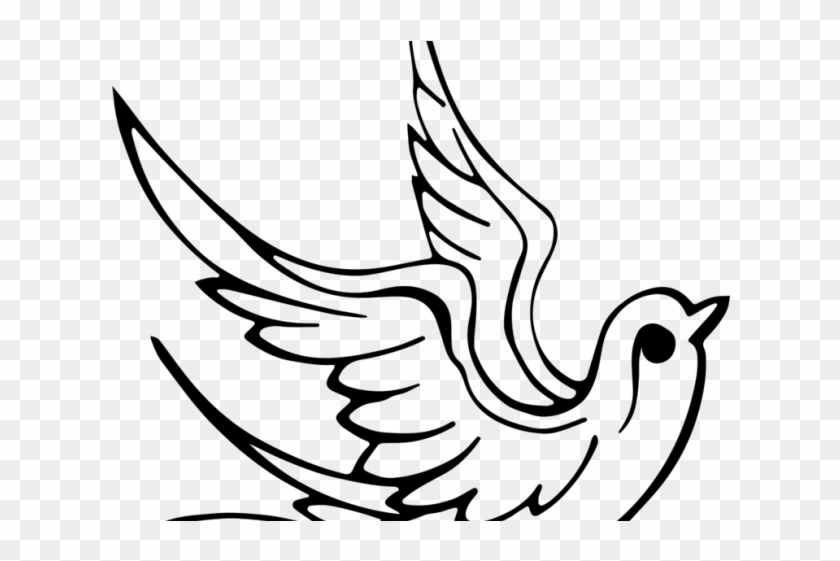 Drawn Turtle Dove Pentecost - Bird Line Art #1742662