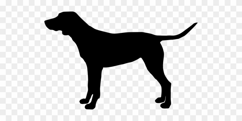 Dog, Doggy, Animal, Dog House, Is, Pet - Silhouette Of A Greyhound #1742918
