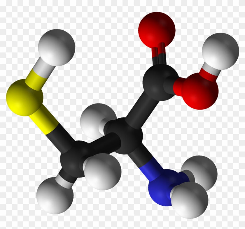 In Order To Reduce Fermentation And Kneading Period, - Cysteïne #1743105