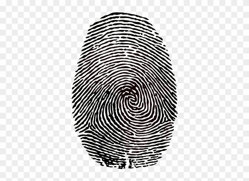 Peer Identity - Fingerprint Fibonacci Sequence #1743876