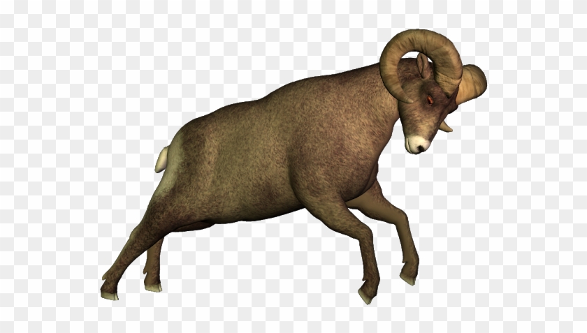 Free High Resolution Clip Art - Bighorn #1744221