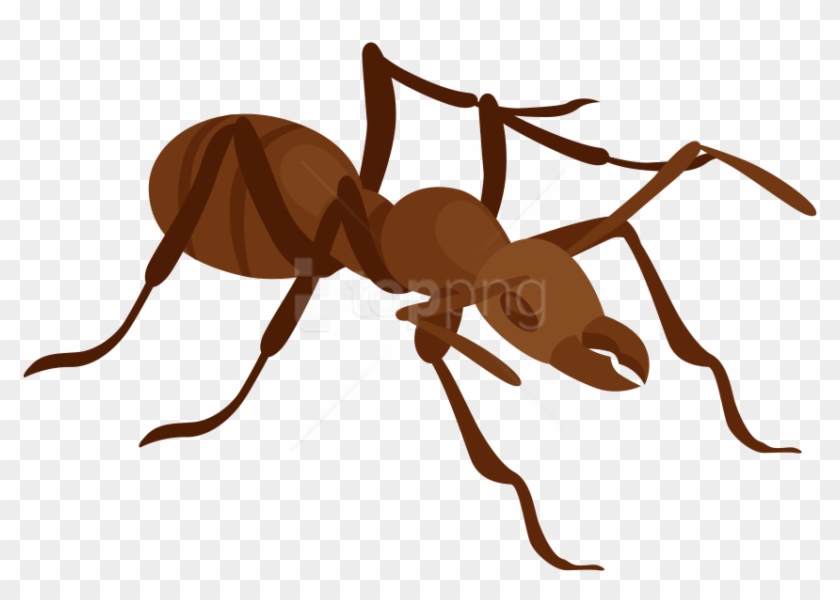 Download Ant Clipart Png Photo - Clip Art Png Ant #1744286
