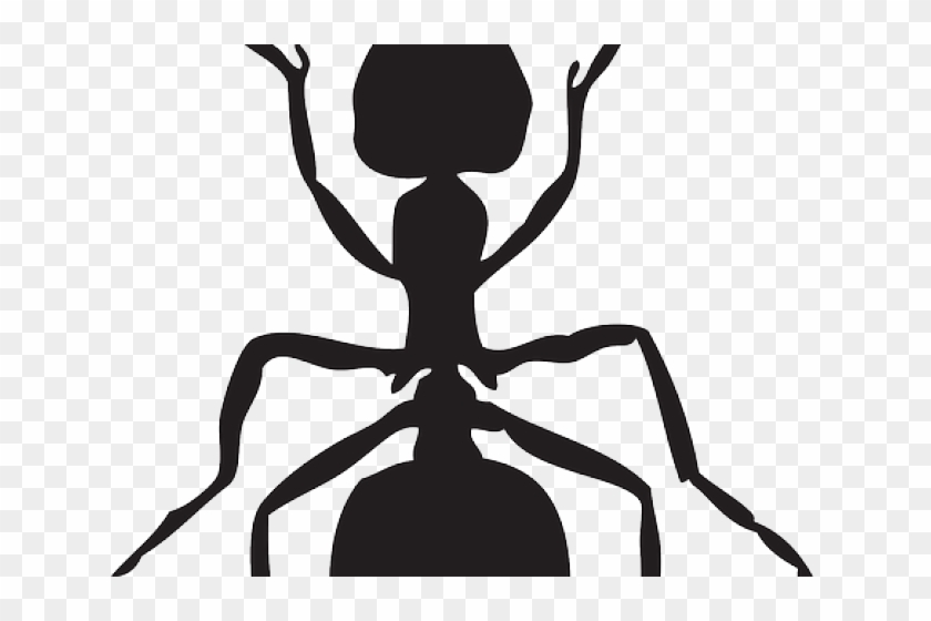 Ant Clipart Insect - Ant Insect Clip Art #1744294