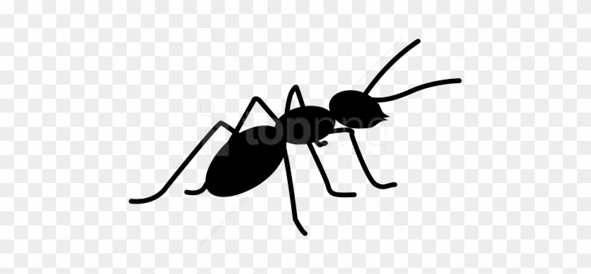 Free Png Download Ants Clipart Png Photo Png Images - Ant Silhouette Png #1744305