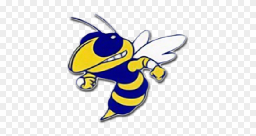 Ocean Springs Def - Curry Yellow Jackets Logo #1744785