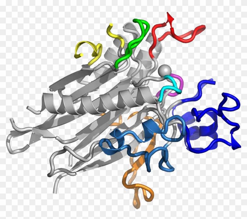 Newswise-fullscreen Researchers Define Structure Of - Illustration #1744795