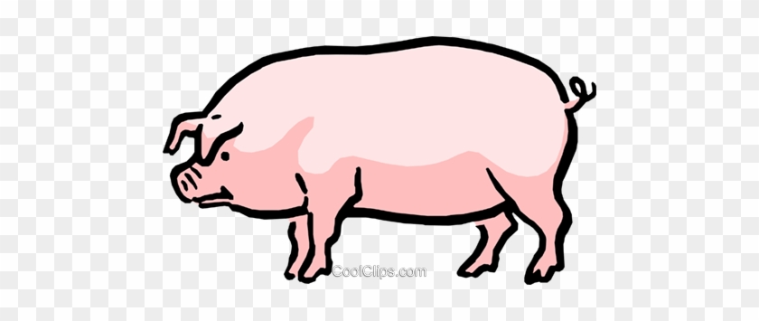 Cartoon Pig Royalty Free Vector Clip Art Illustration - Pig Side View  Drawing - Free Transparent PNG Clipart Images Download