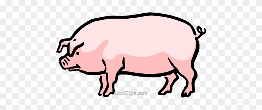 Cartoon Pig Royalty Free Vector Clip Art Illustration - Pig Side View Drawing #1745004