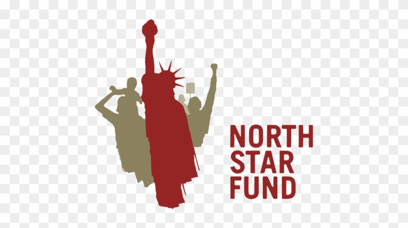 Foster Care Systematic Abuses - North Star Fund Logo #1745282