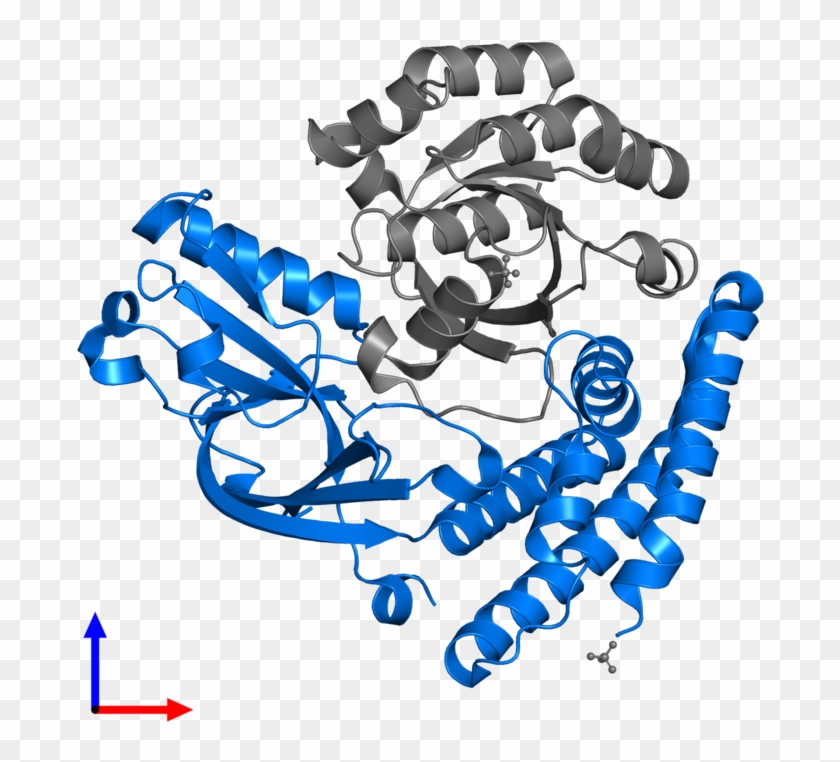 <div Class='caption-body'>pdb Entry 3vhl Contains 1 - Graphic Design #1745862