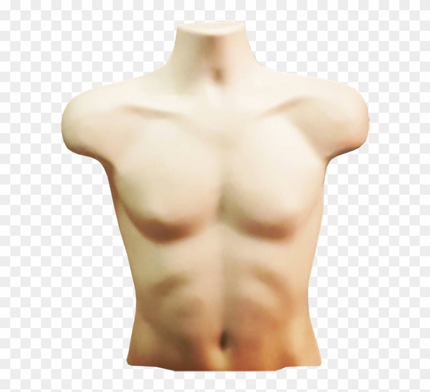 Torso Transparent Background - Pound Of Flesh Torso #1746104