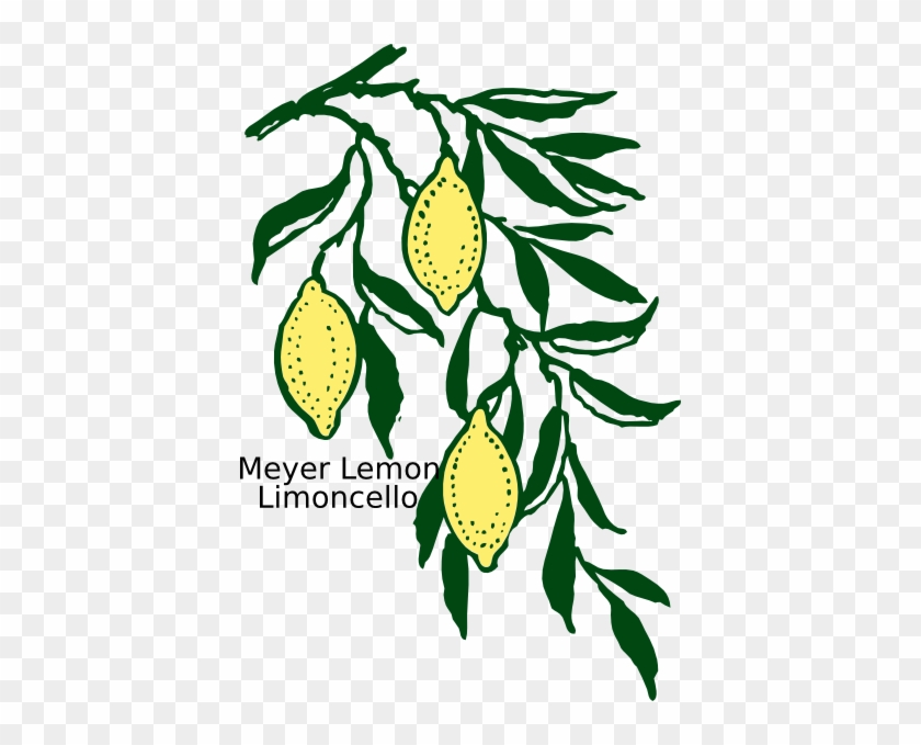 Lemon Leaf Clip Art #1746147
