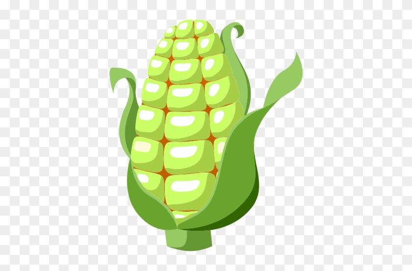 Green Maize - Illustration #1746178