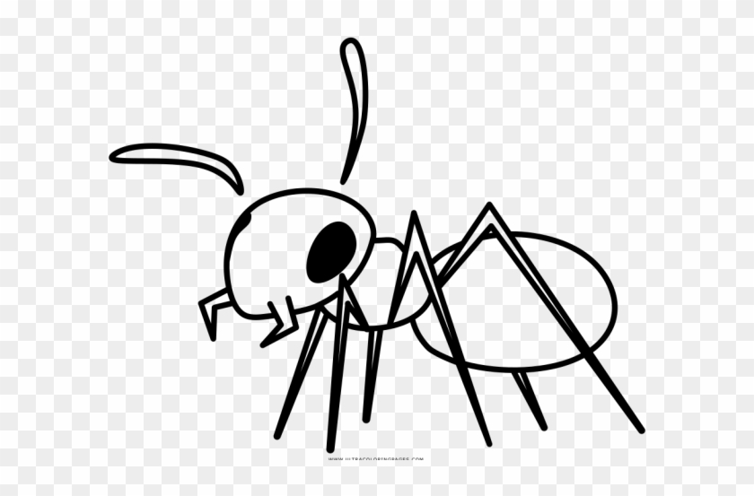 Color Clipart Ant - Wasp #1746381