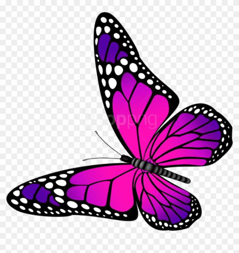 Butterfly Pink And Purple Transpa Clipart Png Photo - Butterfly Pink And Purple #1746716