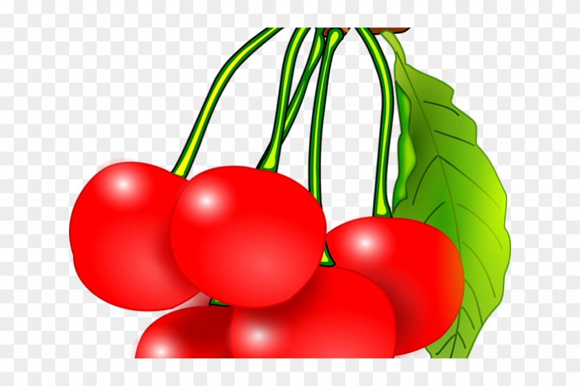 Cherry Clipart Kind Fruit - Cherry Fruit Clipart #1747171