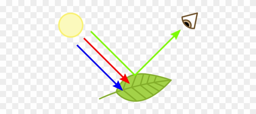 Chromophore - Chlorophyll Absorbs Light #1747207