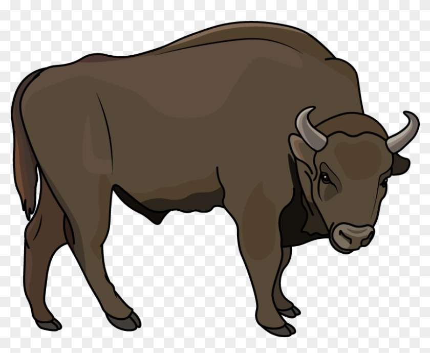 How To Draw A Bison, Animals, Zoo, Easy Step By Step - Bull #1747318