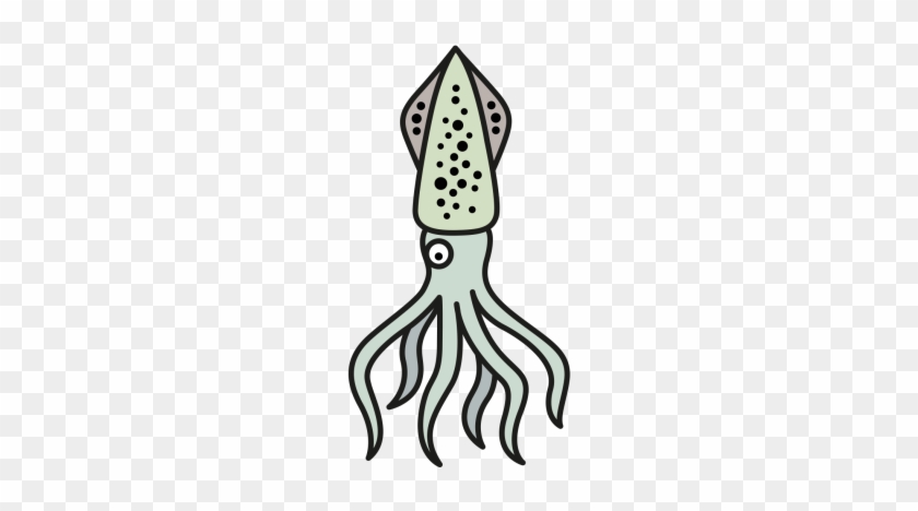 Squid - Squid #1747532