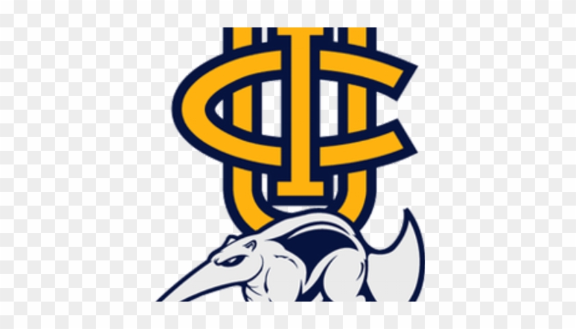 Lake Helen Keller - Uc Irvine Anteaters Logo #1747613