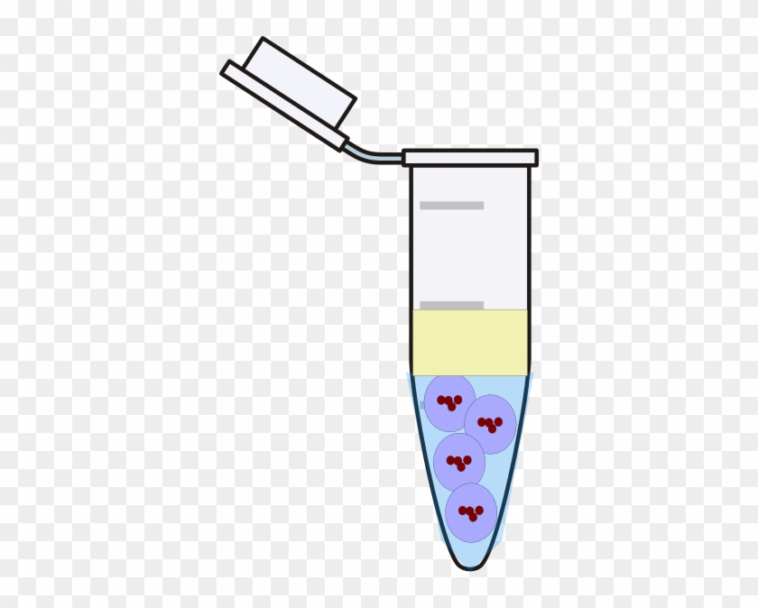 After Centrifugation Clip Art - Eppendorf Tube Clipart #1748037