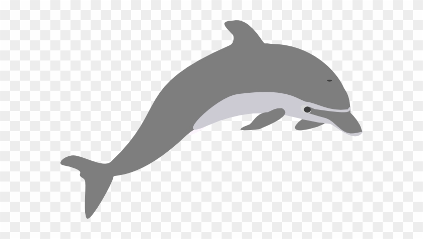 Grey Dolphin Clipart #1748121