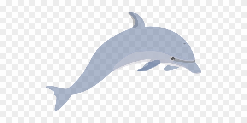 Dolphin, Mammals, Swimming, Cute, Animal - Jumping Dolphin Clip Art #1748135
