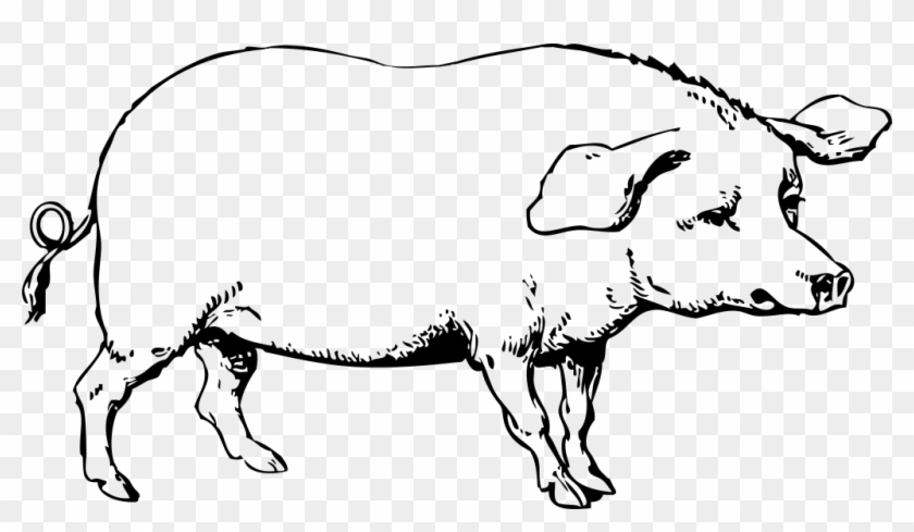 File - Pig Clipart - Svg - Wikimedia Commons - Hog Clipart Black And White #1748273