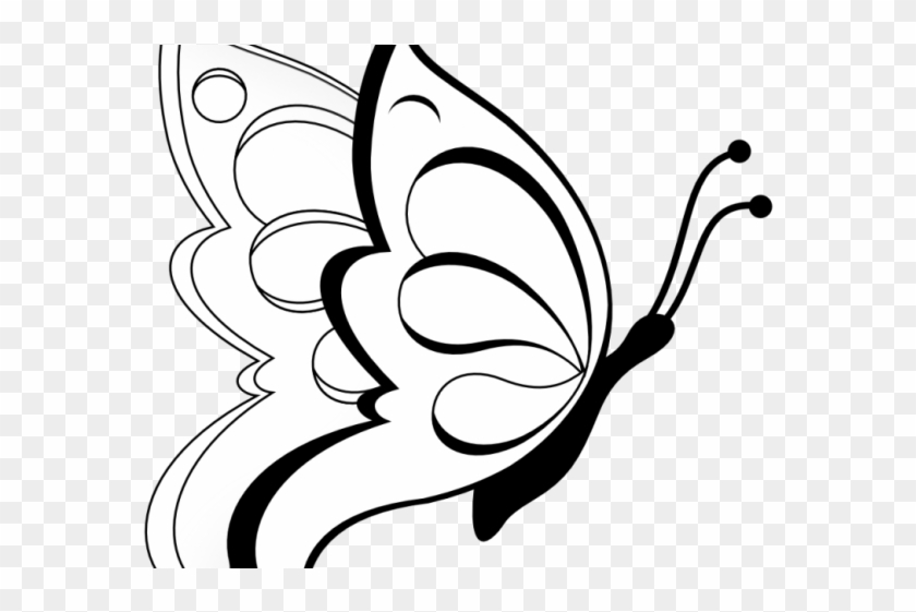 White Flower Clipart Clip Art - Butterfly Drawings In Pencil #1748323