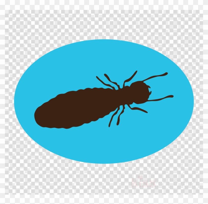Termite Scout Clipart Fly Termite Pest - Clipart Pig Noses #1748579