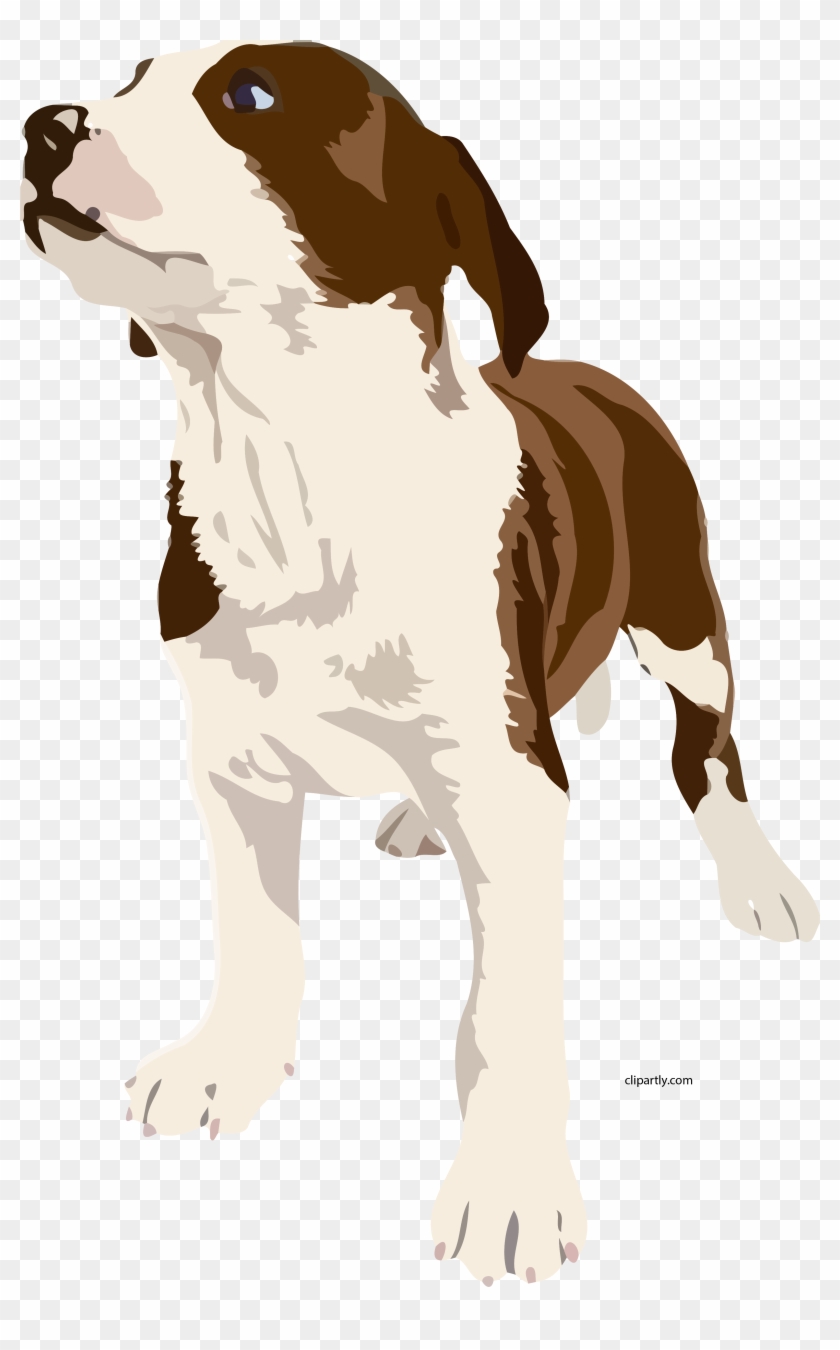 Dog Realistic Clipart Png - Brown And White Dog Clipart #1748735